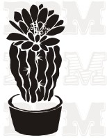 /album/fotogaleria-kvety-stromy/kvety-31-jpg/